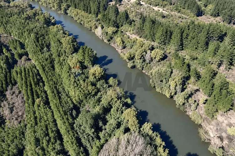 Parcela de 5.000m² a la venta - Imagen 17