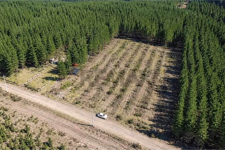 Parcela de 5.000m² a la venta - Imagen 1