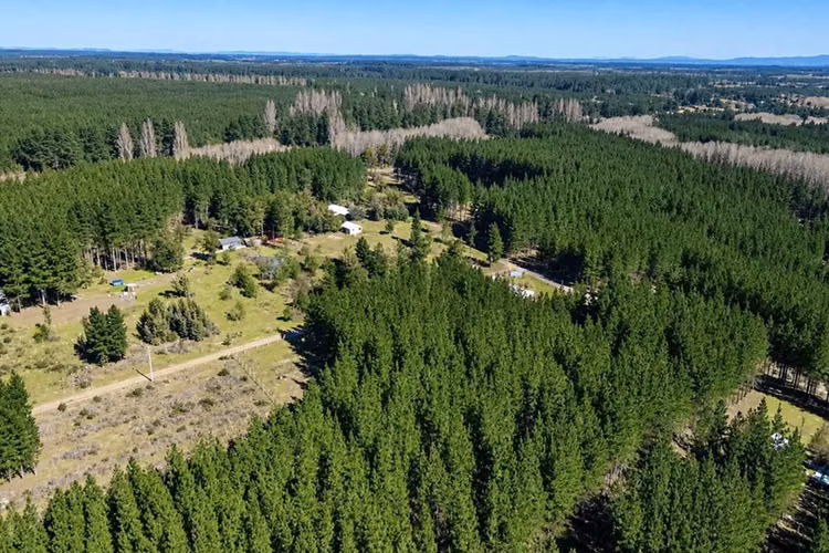 Parcela de 5.000m² a la venta - Imagen 15
