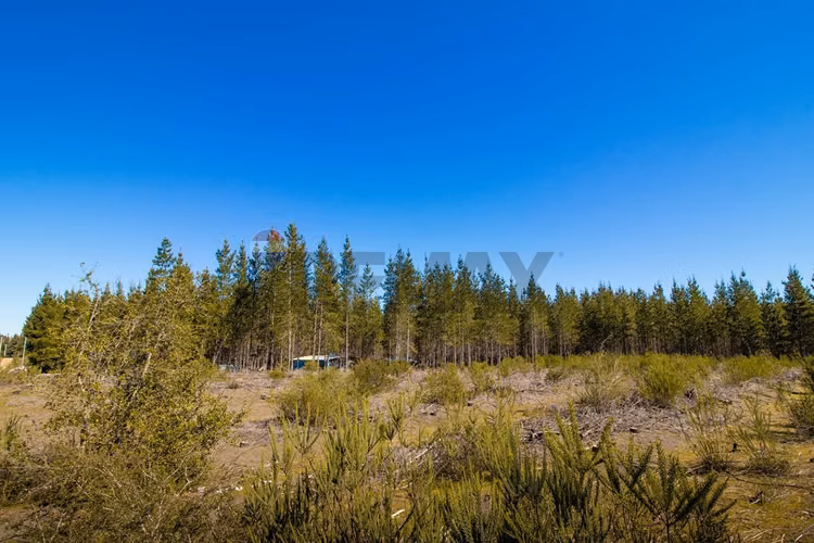 Parcela de 5.000m² a la venta - Imagen 8