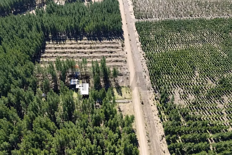 Parcela de 5.000m² a la venta - Imagen 4