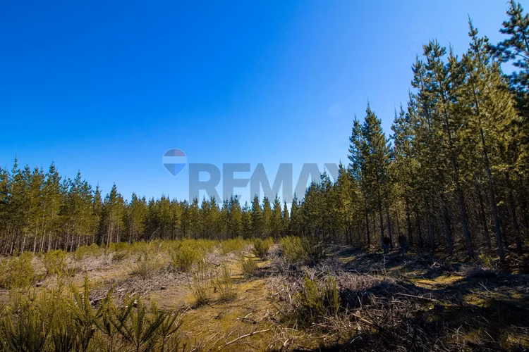 Parcela de 5.000m² a la venta - Imagen 11