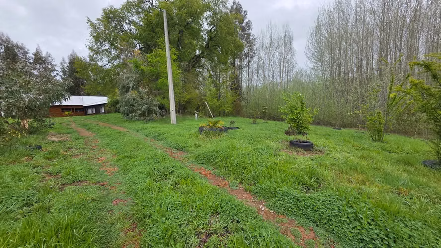 Terreno en venta Yungay, sector el Cardal 2.32 hectáreas