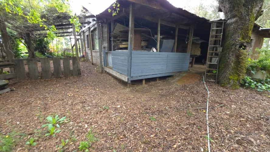 Terreno en venta Yungay, sector el Cardal 2.32 hectáreas