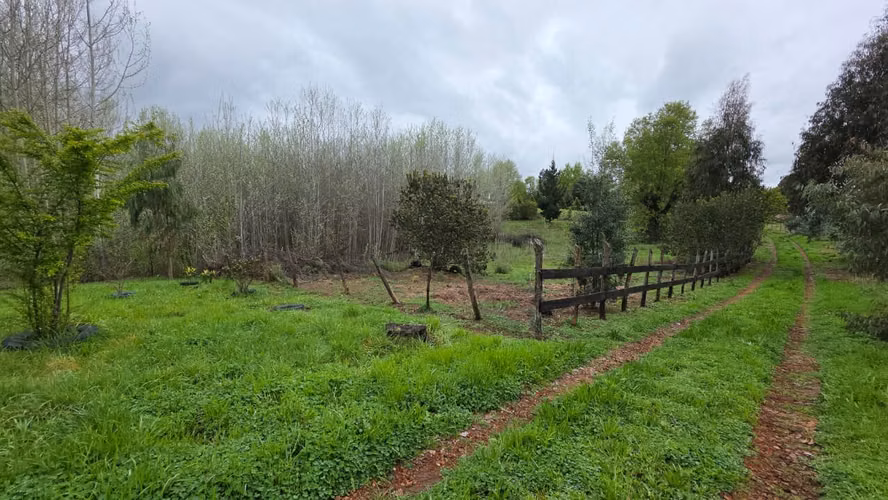 Terreno en venta Yungay, sector el Cardal 2.32 hectáreas