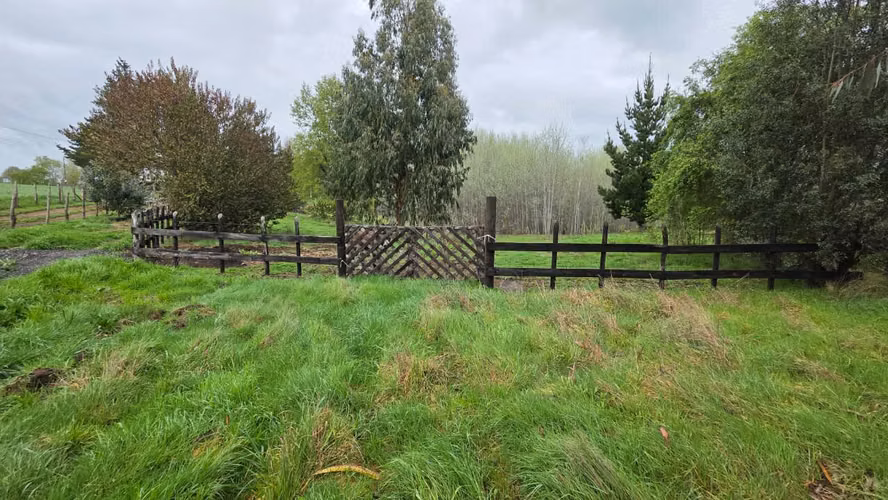 Terreno en venta Yungay, sector el Cardal 2.32 hectáreas