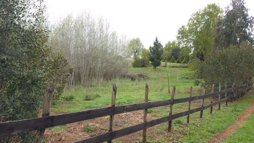 Terreno en venta Yungay, sector el Cardal 2.32 hectáreas