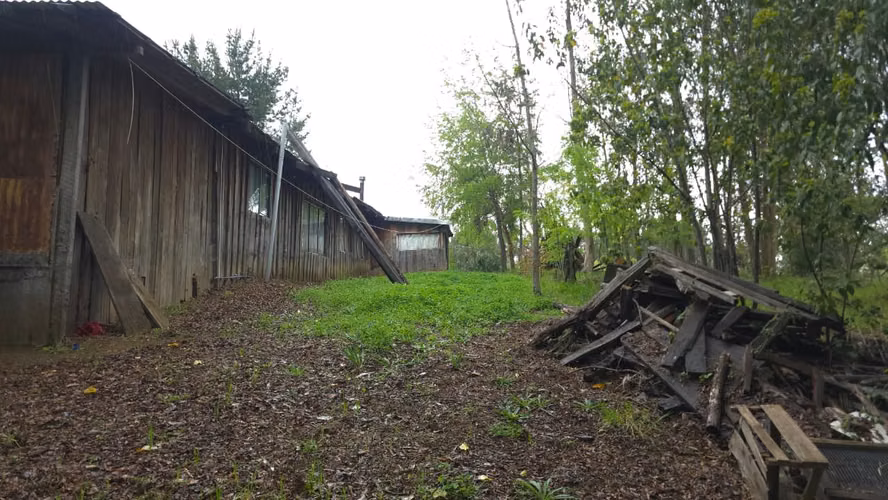 Terreno en venta Yungay, sector el Cardal 2.32 hectáreas