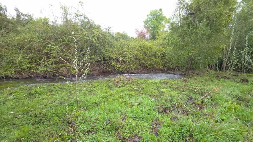 Terreno en venta Yungay, sector el Cardal 2.32 hectáreas