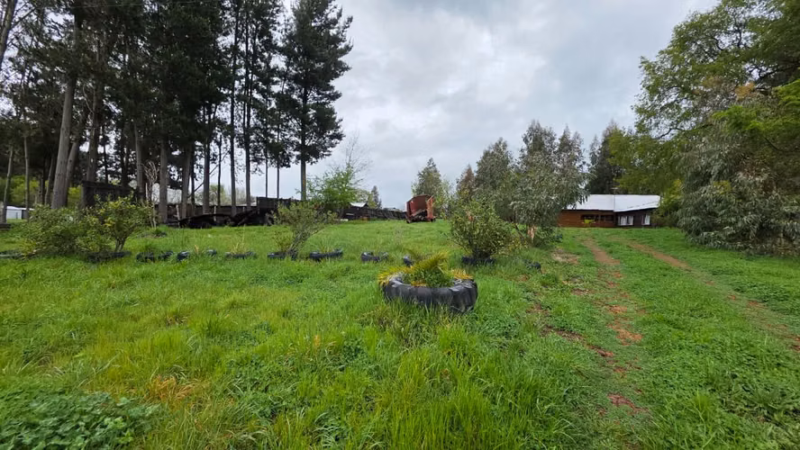 Terreno en venta Yungay, sector el Cardal 2.32 hectáreas