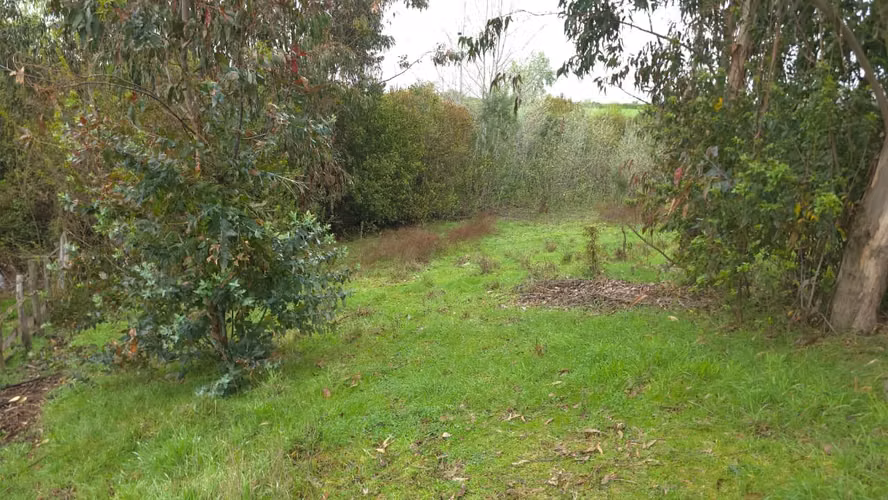Terreno en venta Yungay, sector el Cardal 2.32 hectáreas