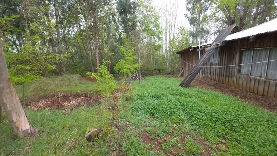 Terreno en venta Yungay, sector el Cardal 2.32 hectáreas