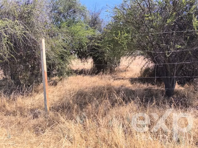 Terreno Plano Cerca Av.Italia - Imagen 3