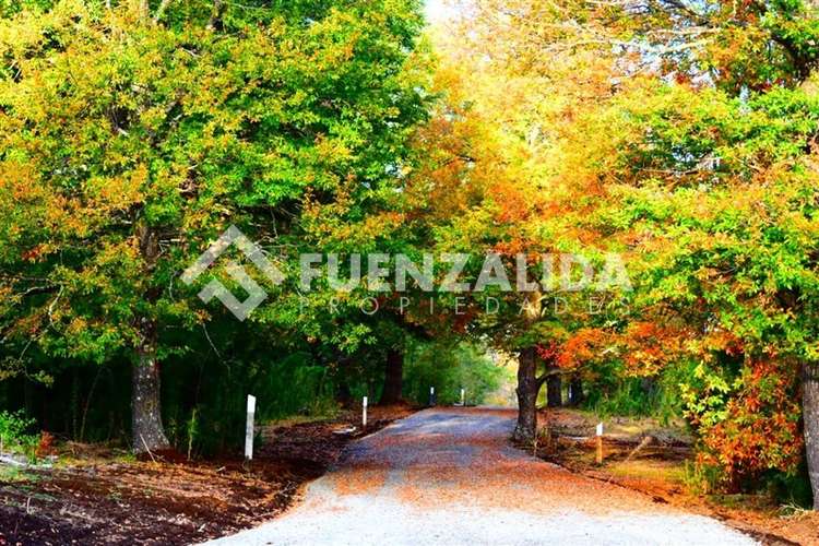 Terreno proyecto inmobiliario en Curacautín - Imagen 9