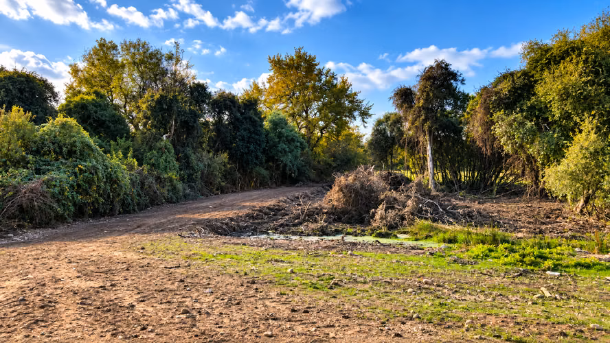 Parcelas 5.000 m² Ñiquén – APR, rol propio y factibilidad eléctrica