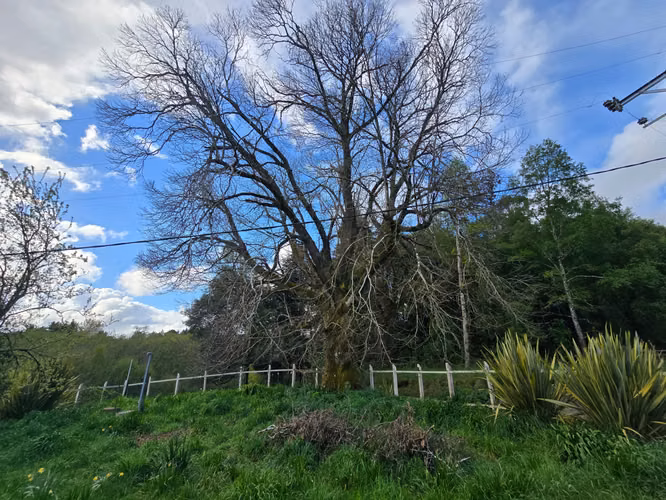 Parcela con amplia casa en venta – Sector Cuesta de Soto, Valdivia - Imagen 7