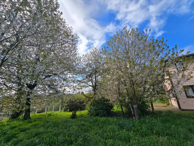 Parcela con amplia casa en venta – Sector Cuesta de Soto, Valdivia - Imagen 6