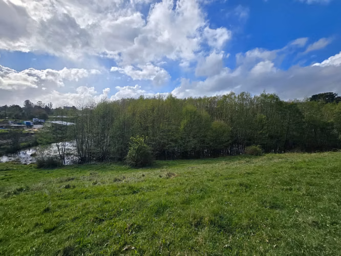 Parcela con amplia casa en venta – Sector Cuesta de Soto, Valdivia - Imagen 5