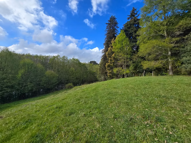 Parcela con amplia casa en venta – Sector Cuesta de Soto, Valdivia - Imagen 4