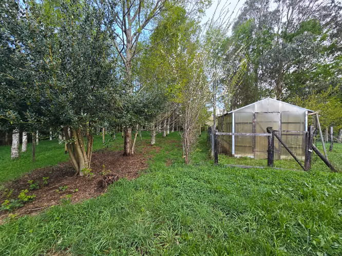 Parcela con casa en venta – Sector Cuesta de Soto, Valdivia - Imagen 3