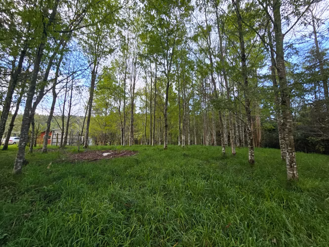 Parcela con casa en venta – Sector Cuesta de Soto, Valdivia - Imagen 4