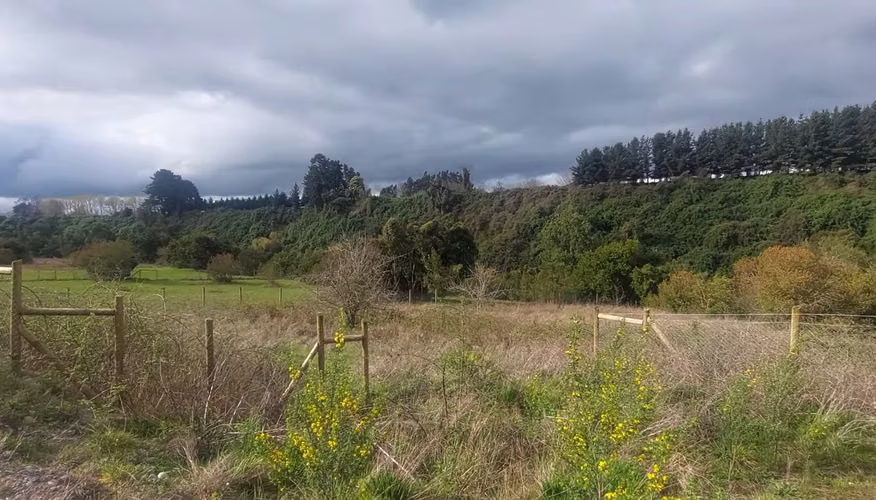 Venta de Terreno en Río Bueno – 6.000 m² con Factibilidad