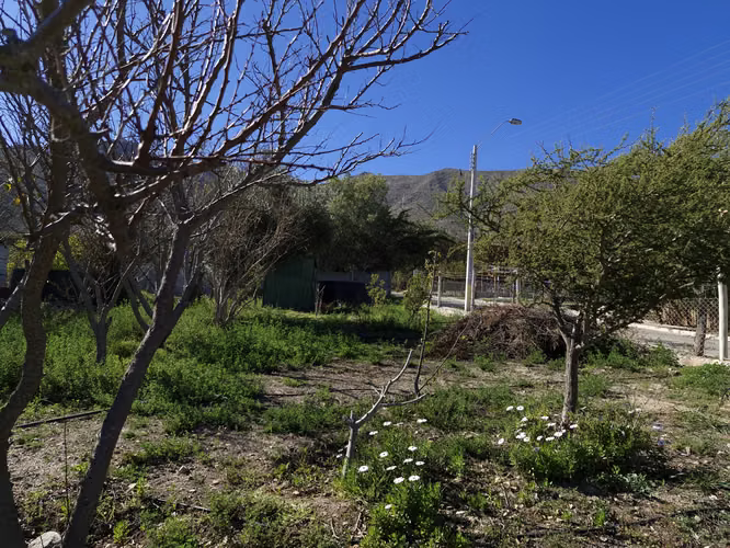 CASA EN VALLE DE ELQUI - GUALLIGUAICA 3 HAB 3 BAÑOS 4 ESTAC. SUP TOTAL  681 MT VICUÑA