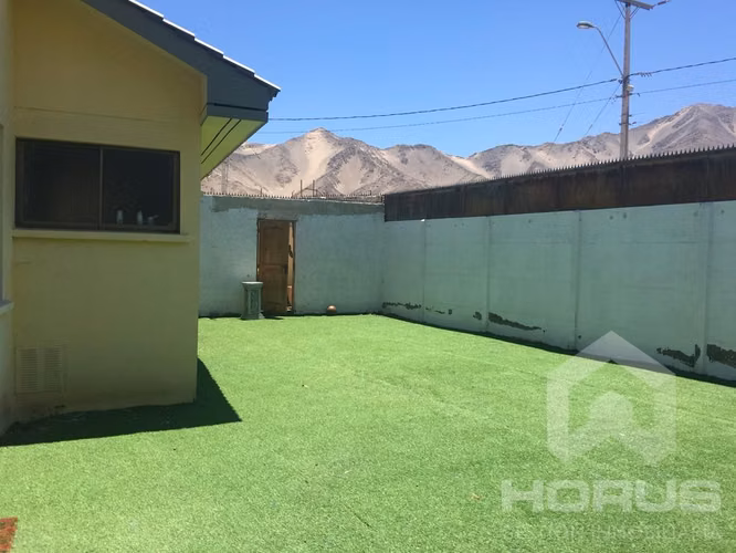 Tierra Viva VII — Copiapo - Imagen 8