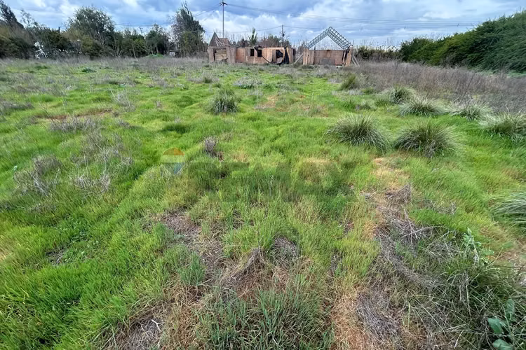 Parcela - Imagen 11
