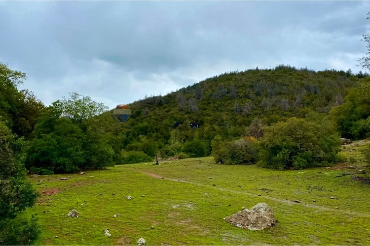 Fundo los cipreses - san fernando - Imagen 18