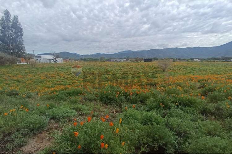 Sitio de 1 hectaria en casa blanca en condominio