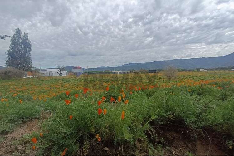 Sitio de 1 hectaria en casa blanca en condominio