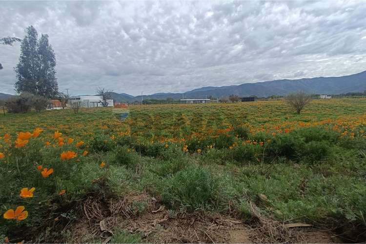 Sitio de 1 hectaria en casa blanca en condominio