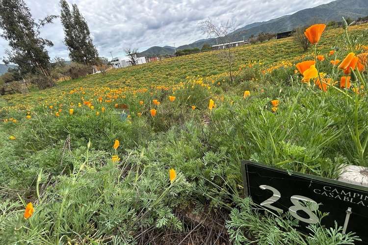 Sitio de 1 hectaria en casa blanca en condominio