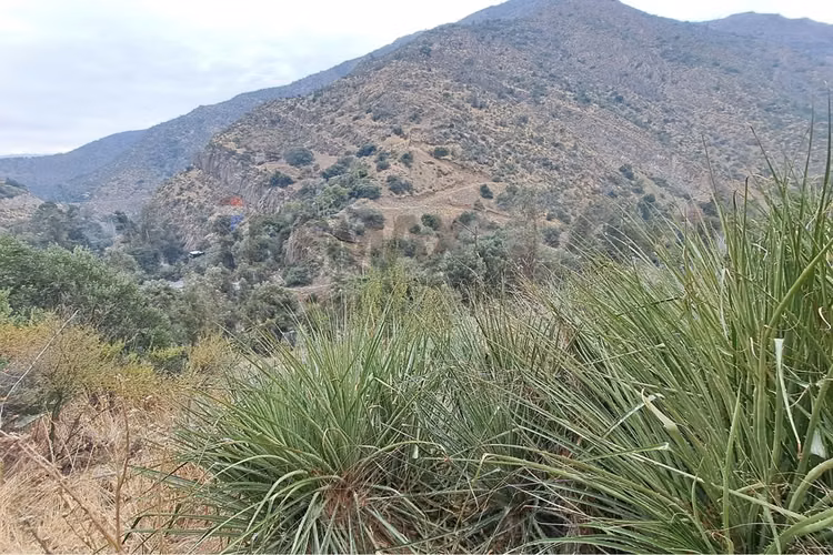 Terreno 4.079 m² con gran potencial - Imagen 2