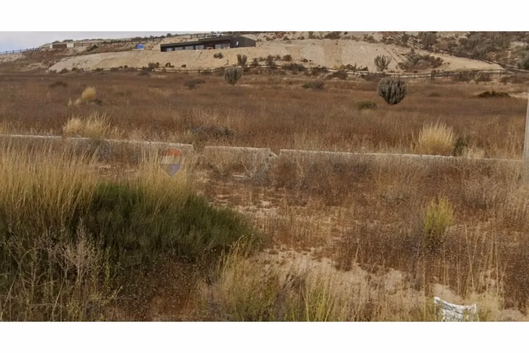 Terreno 5.000 m² estancia el tangue - Imagen 9