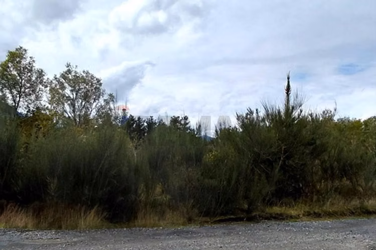 Parcela 38 con luz y acceso al río trancura - Imagen 20