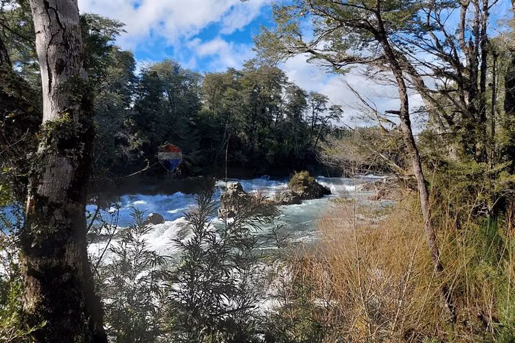 Parcela 38 con luz y acceso al río trancura - Imagen 3