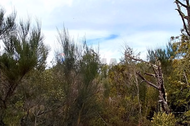Parcela 38 con luz y acceso al río trancura - Imagen 17