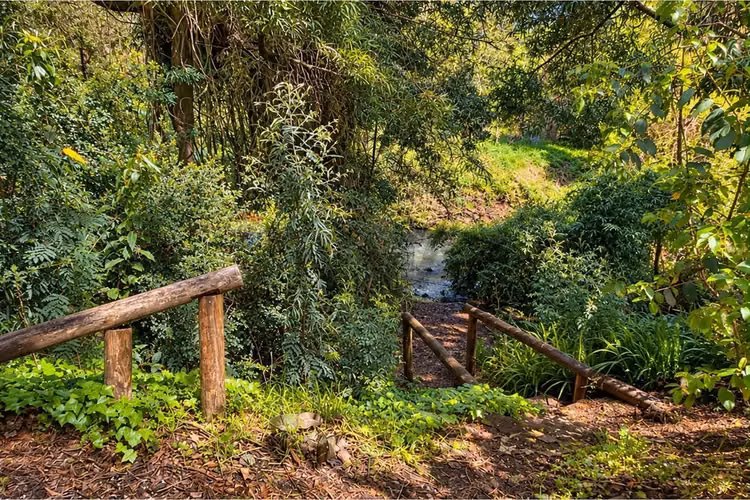Cabañas venta sector el claro pucon - Imagen 18