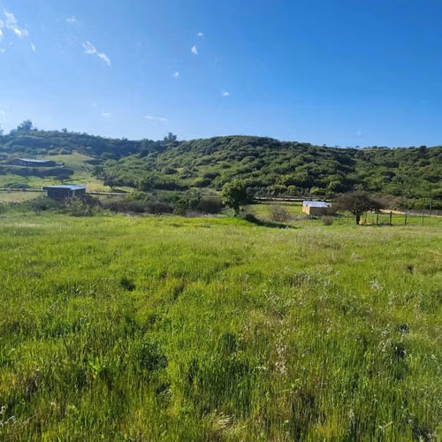 VENTA PARCELA EN LITUECHE |URETA BRAVO PROPIEDADES| - Imagen 3