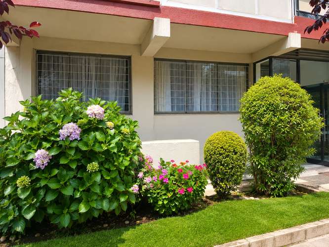Se vende lindo y acogedor aparatmento de primer piso