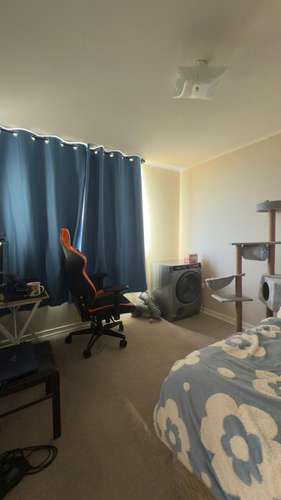 oportunidad unica buen precio, Viña del Mar - Imagen 9