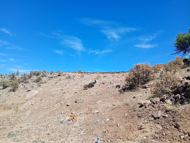 Parcela 6.700 Mts2 Acciones De Agua Mamalluca Valle De Elqui