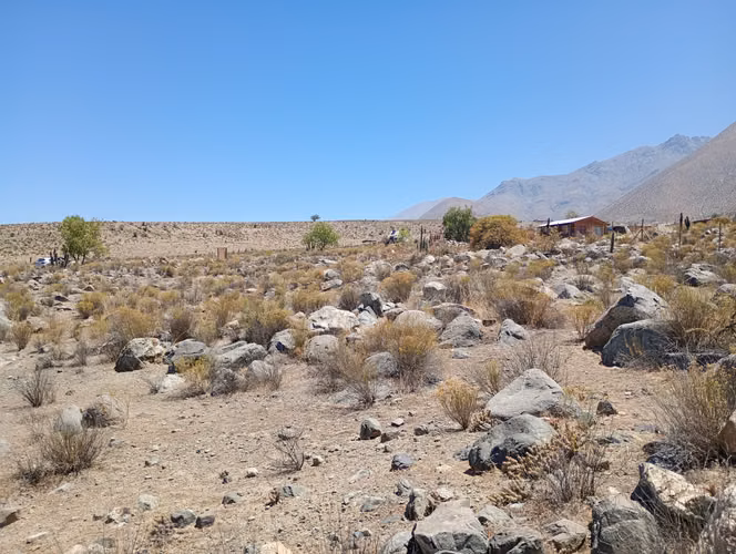 P. 10.200 Mts2, Acciones De Agua Mamalluca Valle De Elqui