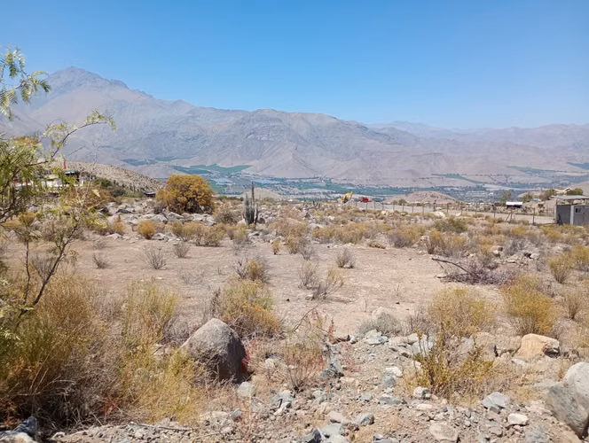 P. 10.200 Mts2, Acciones De Agua Mamalluca Valle De Elqui