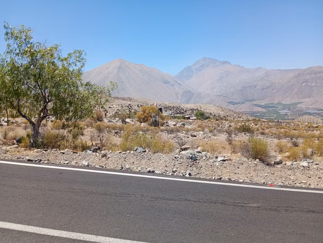 P. 10.200 Mts2, Acciones De Agua Mamalluca Valle De Elqui