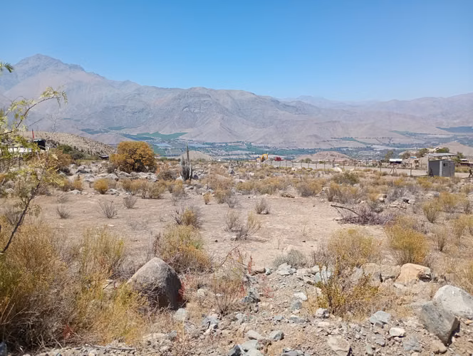 P. 10.200 Mts2, Acciones De Agua Mamalluca Valle De Elqui