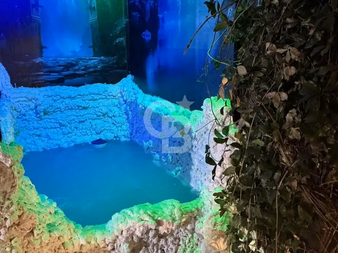 Remodelado con jardín y quincho - Imagen 17