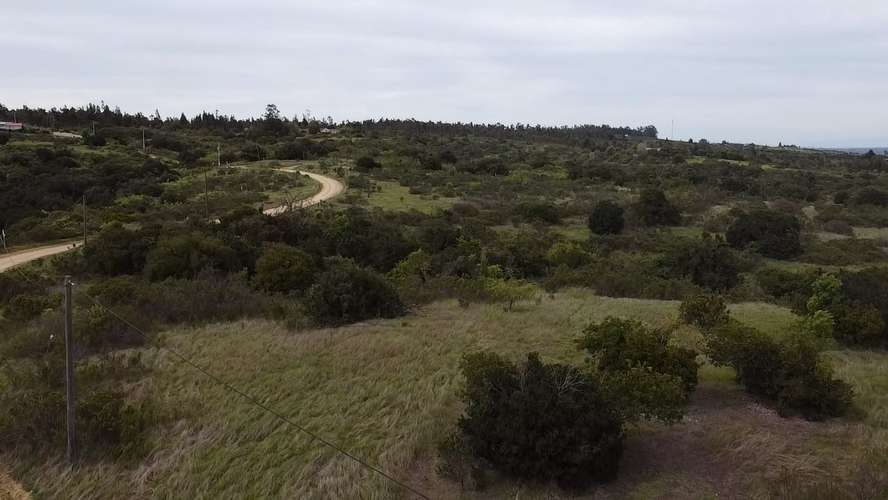 Proyecto Refugio - Imagen 4